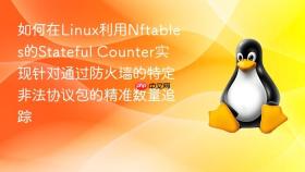 如何在Linux利用Nftables的Stateful Counter实现针对通过防火墙的特定非法协议包的精准数量追踪