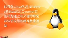 如何在linux利用nftables的stateful counter实现针对通过防火墙的特定非法协议包的精准数量追踪