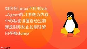 如何在linux下利用ssh-agent的-t参数为内存中的私钥设置自动过期释放时限防止长期驻留内存被dump