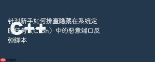 针对新手如何排查隐藏在系统定时任务（Cron）中的恶意端口反弹脚本