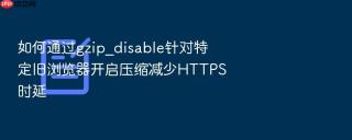 如何通过gzip_disable针对特定旧浏览器开启压缩减少https时延