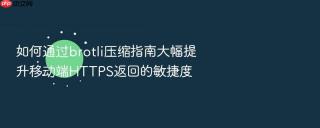 如何通过brotli压缩指南大幅提升移动端HTTPS返回的敏捷度