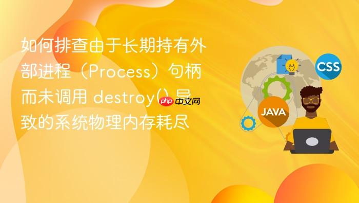 如何排查由于长期持有外部进程(process)句柄而未调用 destroy() 导致的系统物理内存耗尽