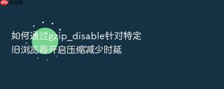 如何通过gzip_disable针对特定旧浏览器开启压缩减少时延