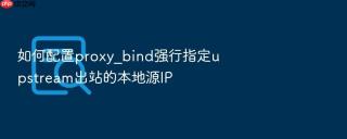 如何配置proxy_bind强行指定upstream出站的本地源IP