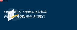如何配置HSTS策略实战掌控客户端浏览器强制安全访问窗口