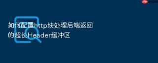 如何配置http块处理后端返回的超长Header缓冲区