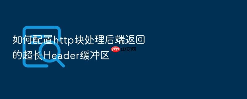 如何配置http块处理后端返回的超长header缓冲区