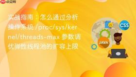 实战指南：怎么通过分析操作系统 /proc/sys/kernel/threads-max 参数调优弹性线程池的扩容上限