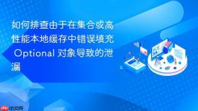 如何排查由于在集合或高性能本地缓存中错误填充 optional 对象导致的泄漏