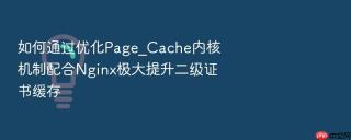 如何通过优化Page_Cache内核机制配合Nginx极大提升二级证书缓存