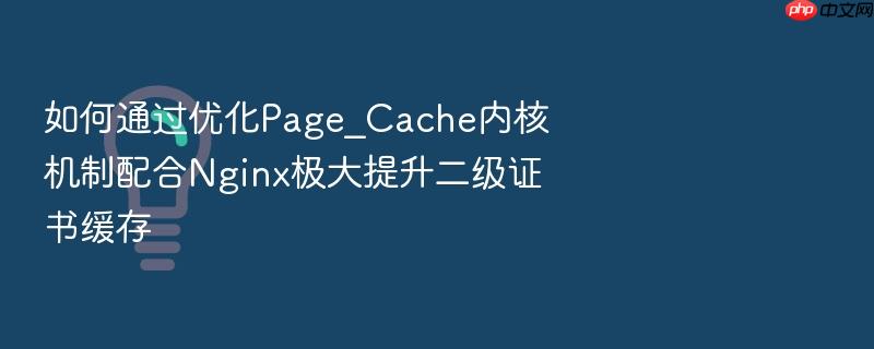 如何通过优化page_cache内核机制配合nginx极大提升二级证书缓存