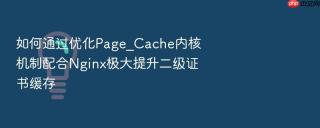 如何通过优化page_cache内核机制配合nginx极大提升二级证书缓存