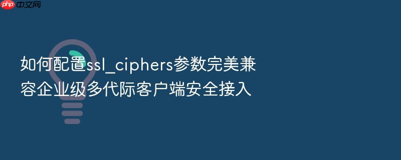 如何配置ssl_ciphers参数完美兼容企业级多代际客户端安全接入