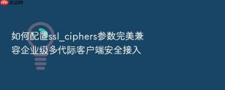 如何配置ssl_ciphers参数完美兼容企业级多代际客户端安全接入
