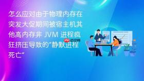 怎么应对由于物理内存在突发大促期间被宿主机其他高内存非 jvm 进程疯狂挤压导致的“静默进程死亡”
