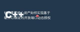 针对重要核心资产如何实现基于硬件id绑定的开放端口动态授权
