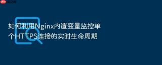 如何利用Nginx内置变量监控单个HTTPS连接的实时生命周期