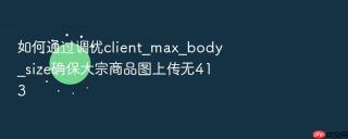 如何通过调优client_max_body_size确保大宗商品图上传无413