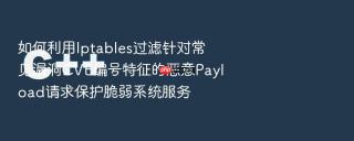 如何利用iptables过滤针对常见漏洞cve编号特征的恶意payload请求保护脆弱系统服务