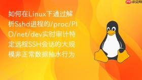 如何在linux下通过解析sshd进程的/proc/pid/net/dev实时审计特定远程ssh会话的大规模非正常数据抽水行为
