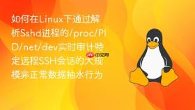 如何在Linux下通过解析Sshd进程的/proc/PID/net/dev实时审计特定远程SSH会话的大规模非正常数据抽水行为