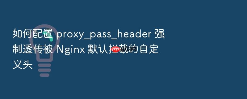 如何配置 proxy_pass_header 强制透传被 nginx 默认拦截的自定义头