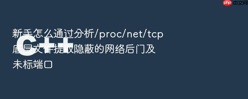新手怎么通过分析/proc/net/tcp底层文件提取隐蔽的网络后门及未标端口