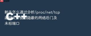 新手怎么通过分析/proc/net/tcp底层文件提取隐蔽的网络后门及未标端口