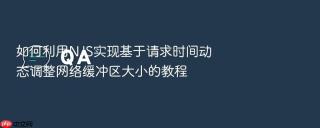 如何利用njs实现基于请求时间动态调整网络缓冲区大小的教程