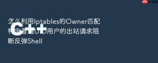 怎么利用Iptables的Owner匹配特定普通UID用户的出站请求阻断反弹Shell