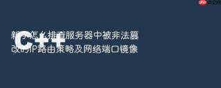 新手怎么排查服务器中被非法篡改的ip路由策略及网络端口镜像