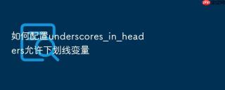 如何配置underscores_in_headers允许下划线变量