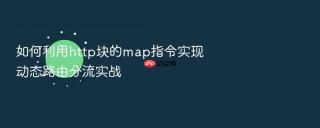 如何利用http块的map指令实现动态路由分流实战