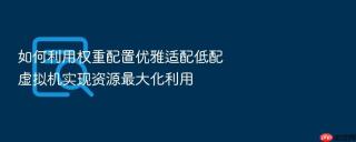 如何利用权重配置优雅适配低配虚拟机实现资源最大化利用