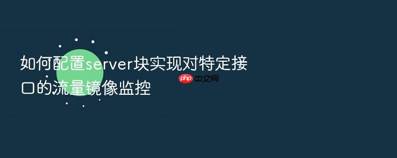 如何配置server块实现对特定接口的流量镜像监控