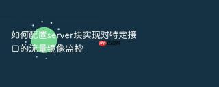 如何配置server块实现对特定接口的流量镜像监控