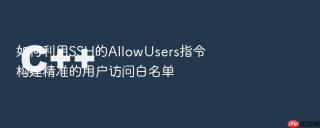 如何利用SSH的AllowUsers指令构建精准的用户访问白名单