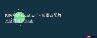 如何利用location^~前缀匹配静态资源目录实战