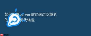 如何配置server块实现对泛域名的自动化反代转发