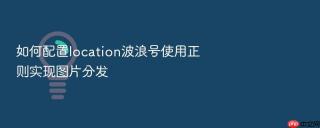 如何配置location波浪号使用正则实现图片分发