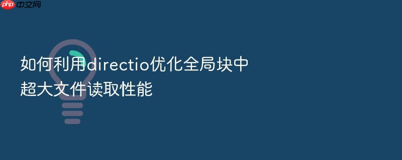 如何利用directio优化全局块中超大文件读取性能
