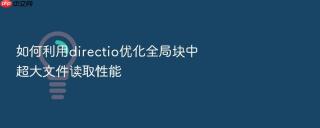 如何利用directio优化全局块中超大文件读取性能