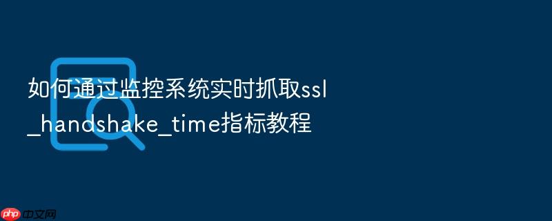 如何通过监控系统实时抓取ssl_handshake_time指标教程