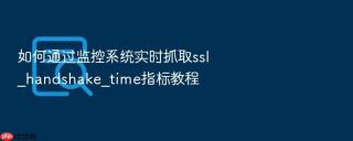 如何通过监控系统实时抓取ssl_handshake_time指标教程