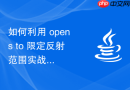 如何利用 opens to 限定反射范围实战在保障变量封装性的同时支持框架动态调用