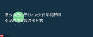 怎么排查由于linux文件句柄限制引发的连接数溢出日志