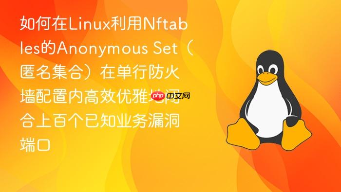 如何在linux利用nftables的anonymous set(匿名集合)在单行防火墙配置内高效优雅地闭合上百个已知业务漏洞端口