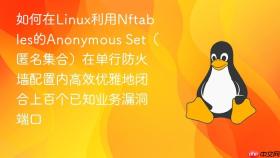 如何在Linux利用Nftables的Anonymous Set（匿名集合）在单行防火墙配置内高效优雅地闭合上百个已知业务漏洞端口