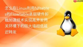 怎么在Linux利用Nftables的Flowtable底层硬件卸载加速技术实现高并发网关环境下的防火墙超低延迟转发
